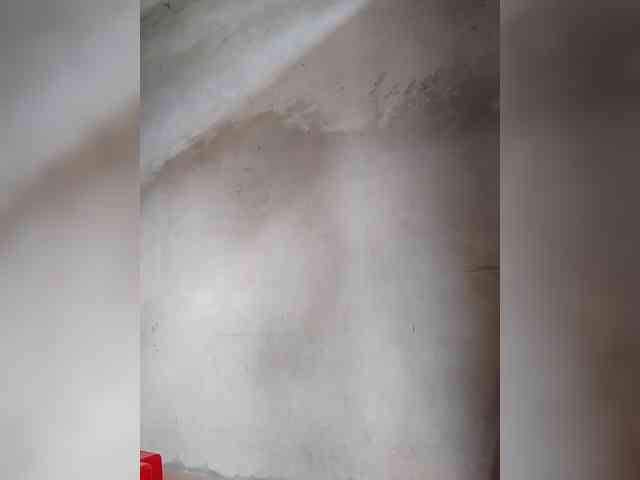 Oriana3 webcam
