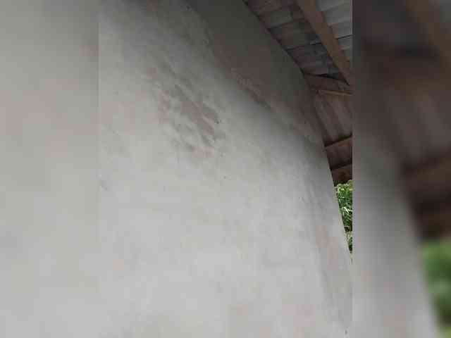 Oriana3 webcam