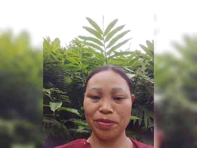 Oriana3 webcam