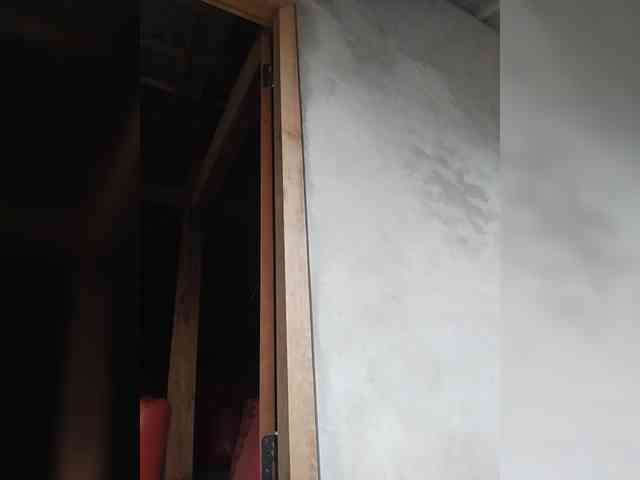 Oriana3 webcam