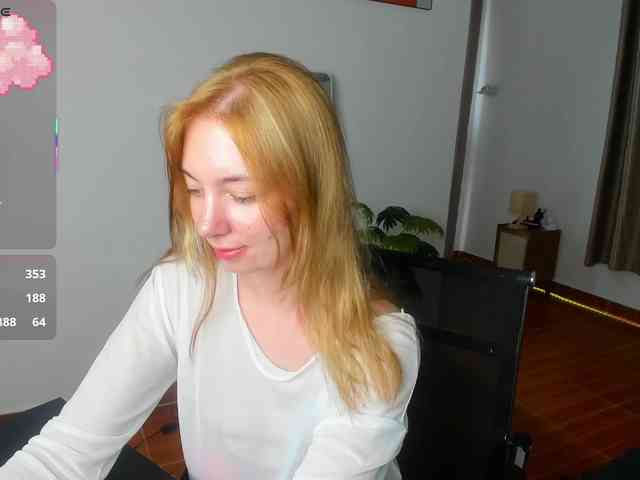 Torichan webcam
