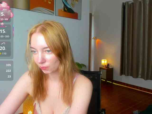 Torichan webcam