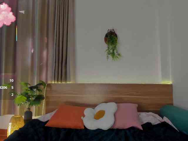 Torichan webcam