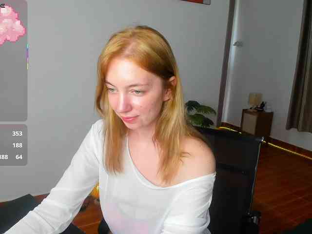 Torichan webcam