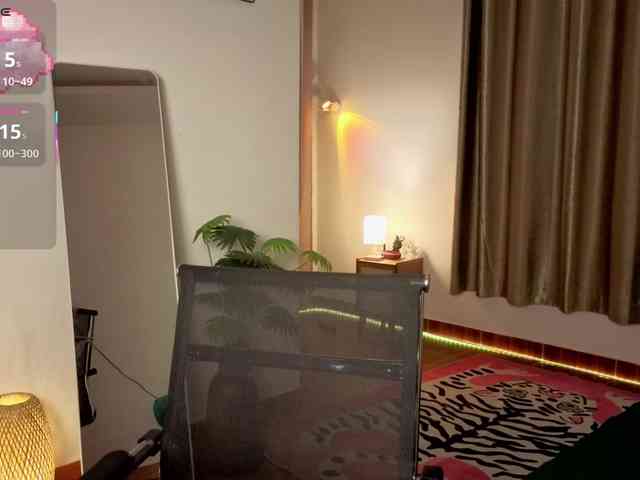 Torichan webcam