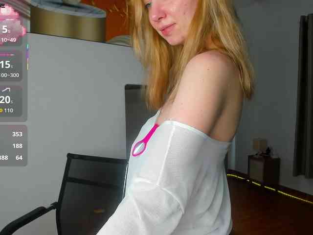 Torichan webcam