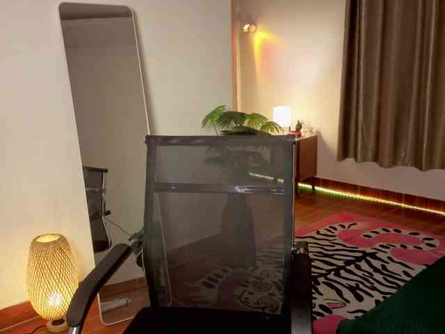 Torichan webcam