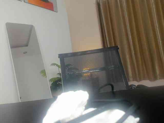Torichan webcam