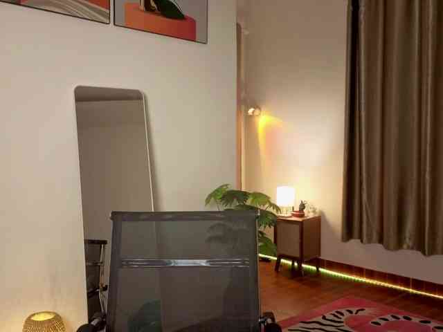 Torichan webcam