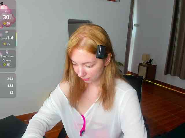 Torichan webcam