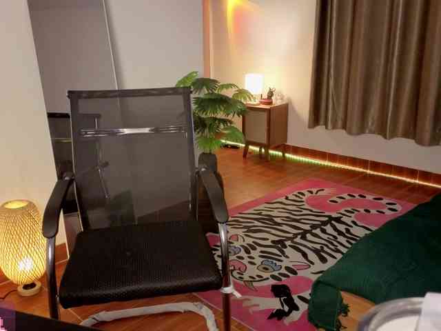 Torichan webcam