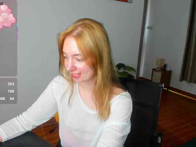 Torichan webcam