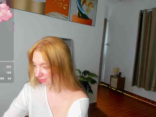 Torichan webcam