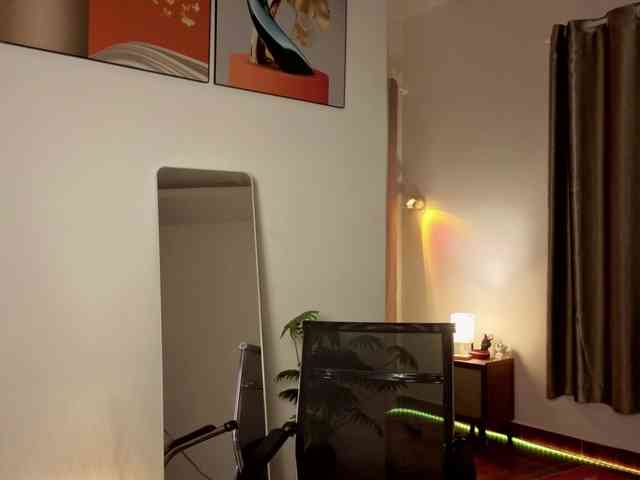 Torichan webcam