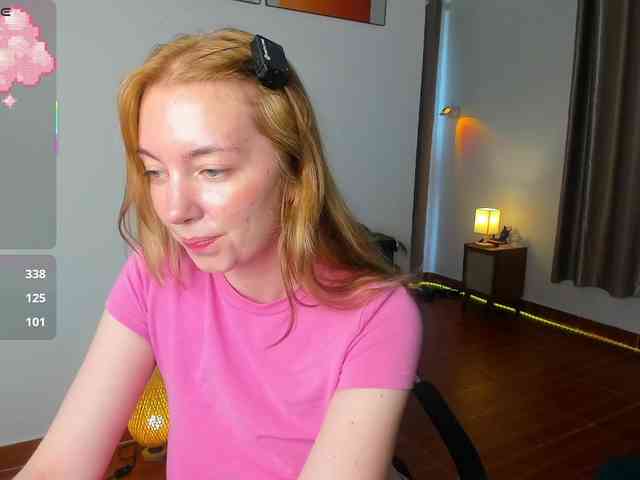 Torichan webcam