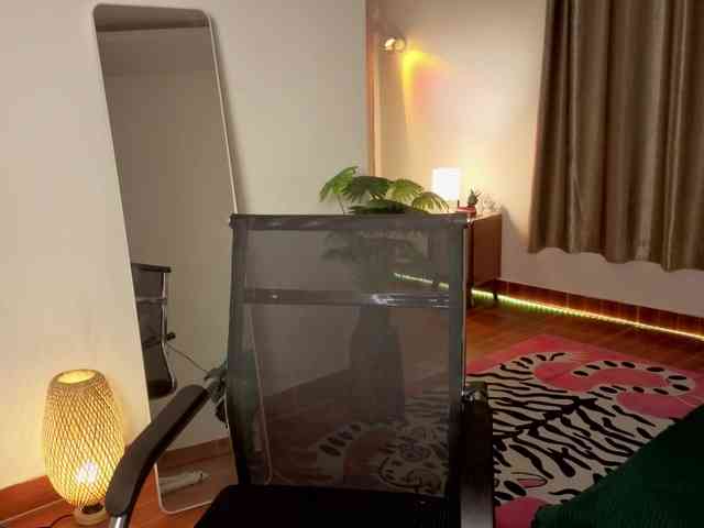Torichan webcam