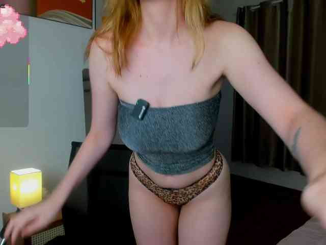 Torichan webcam