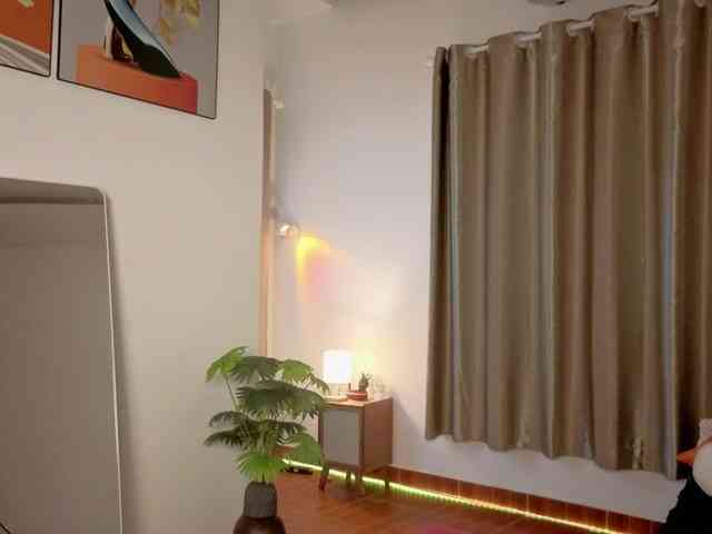 Torichan webcam