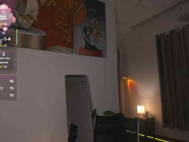 Torichan webcam