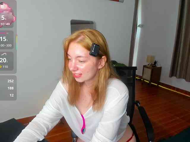 Torichan webcam