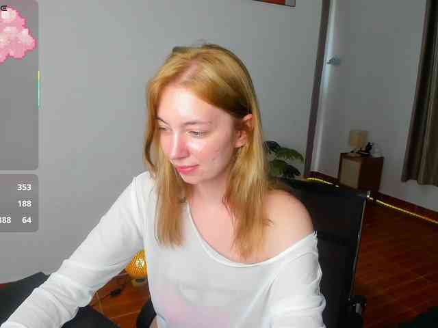 Torichan webcam