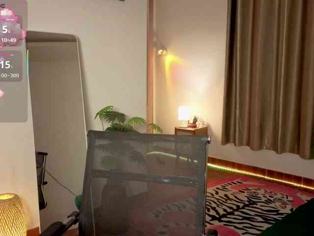 Torichan webcam