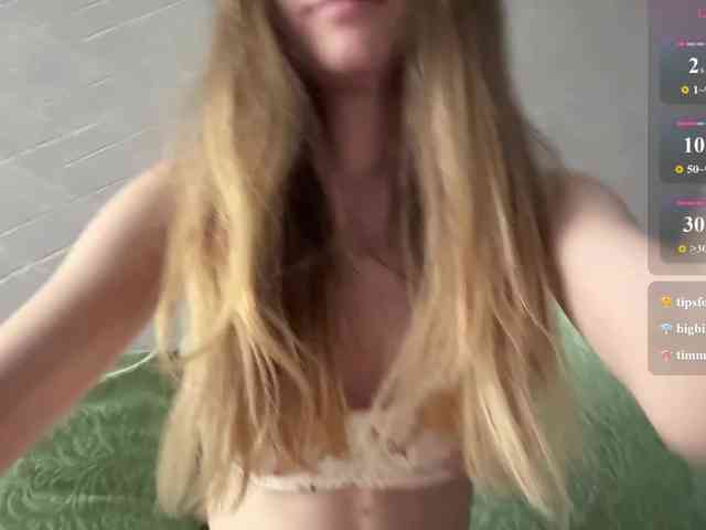 rinvega webcam