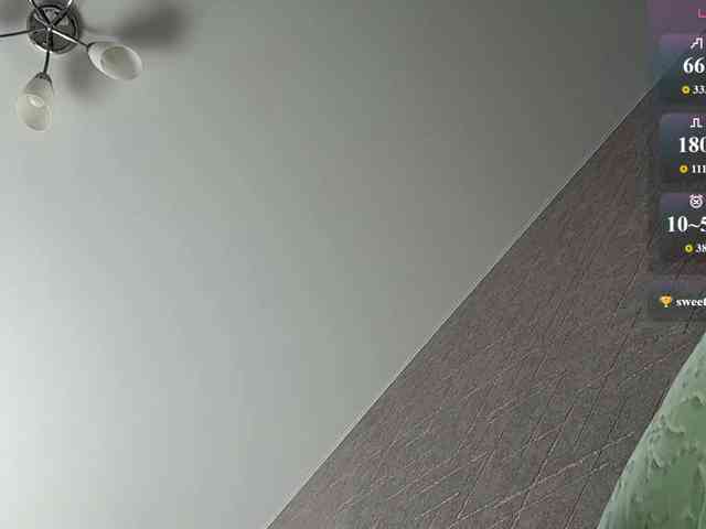 rinvega webcam