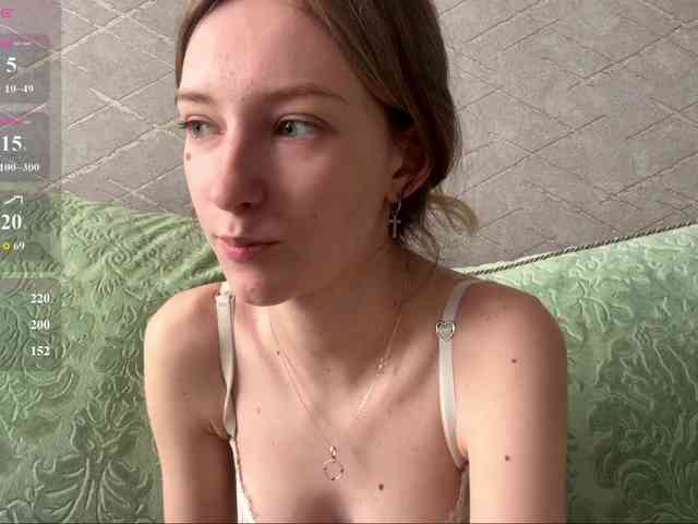 rinvega webcam