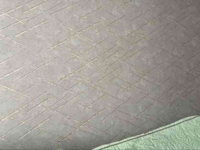 rinvega webcam