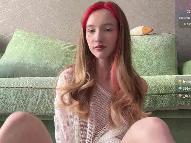 rinvega webcam