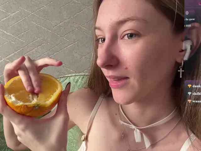 rinvega webcam