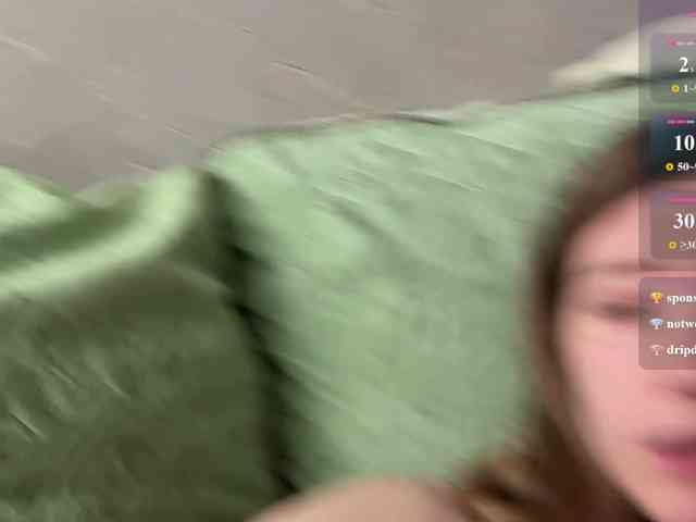 rinvega webcam