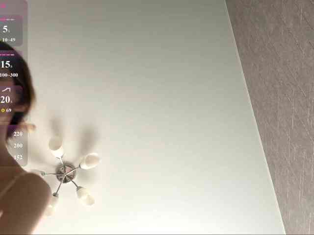 rinvega webcam