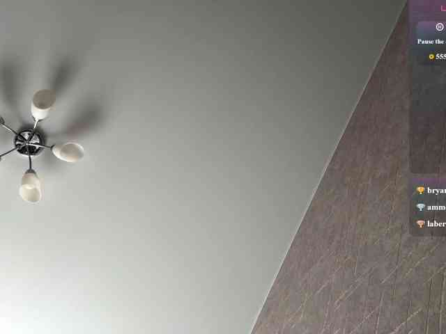rinvega webcam