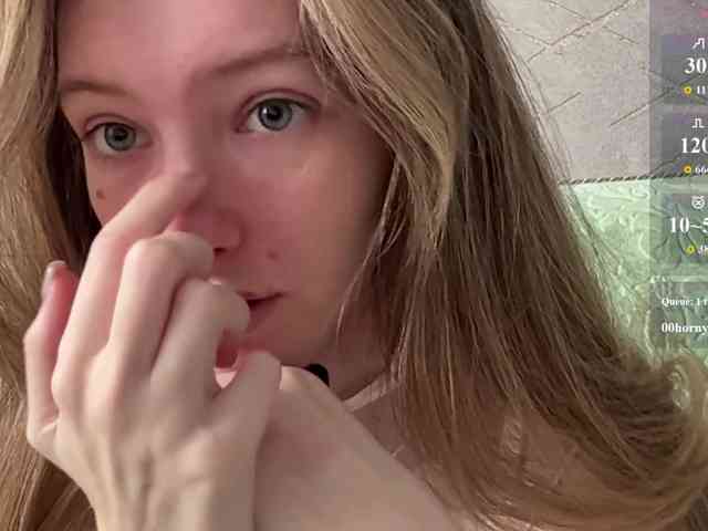 rinvega webcam