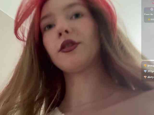 rinvega webcam