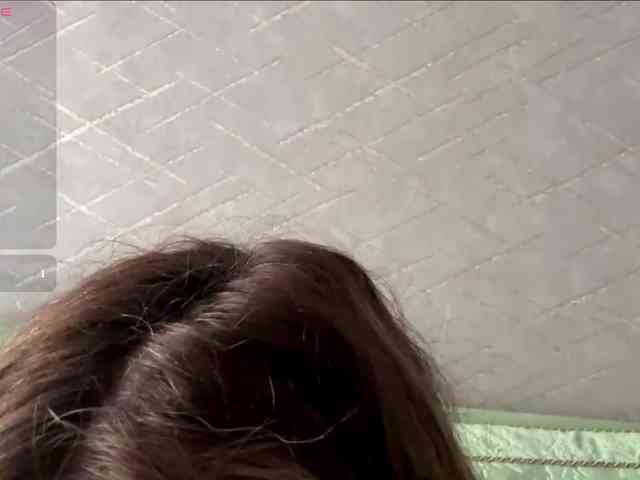 rinvega webcam