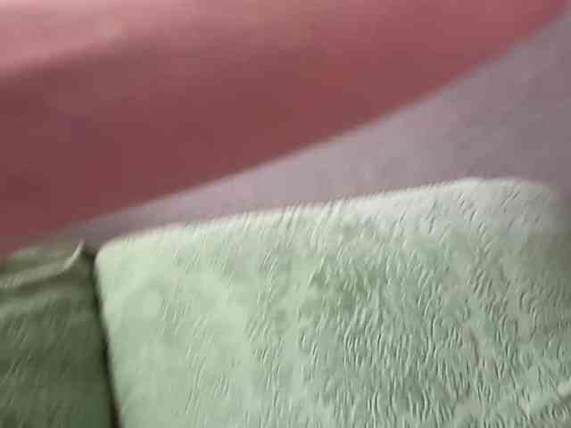 rinvega webcam