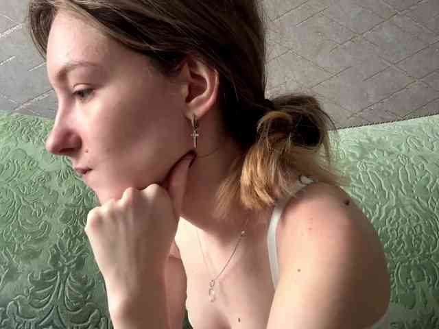 rinvega webcam
