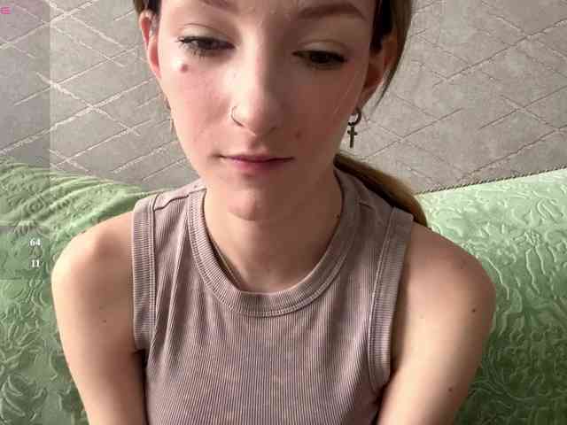 rinvega webcam