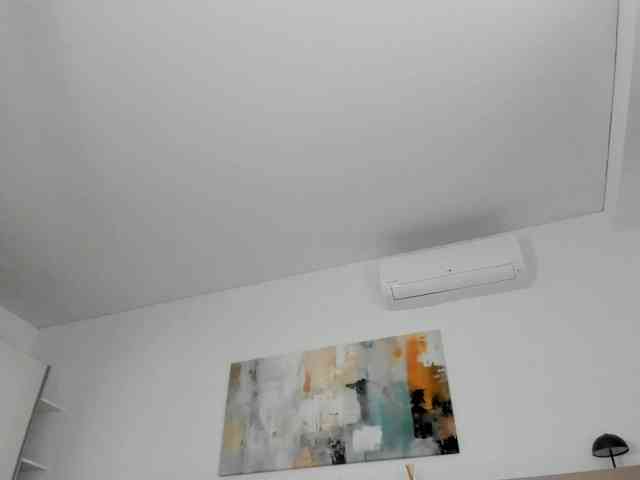Neith-Cole webcam