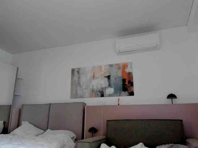 Neith-Cole webcam