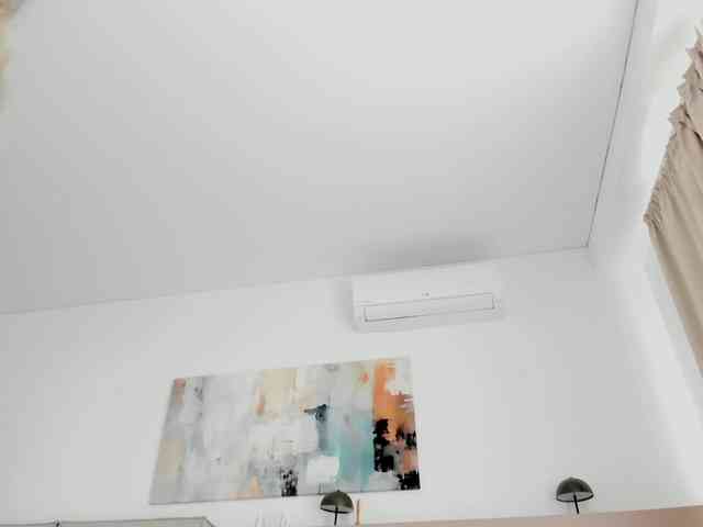 Neith-Cole webcam