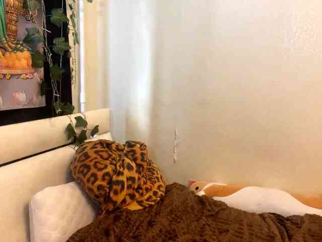 SuzetteDihel webcam