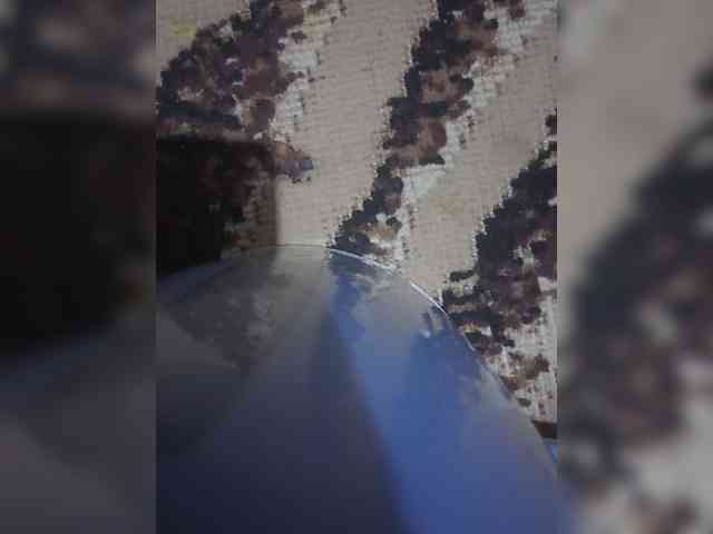 Asanty webcam