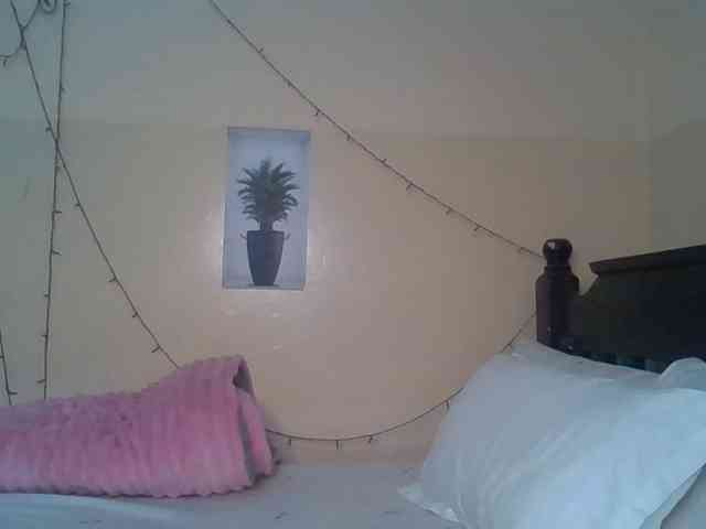 Asanty webcam