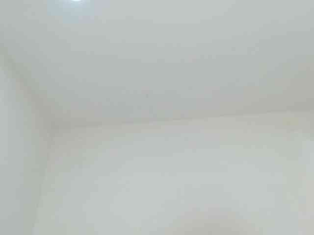 sashacreamy webcam