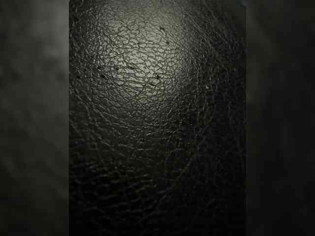MortikStella webcam