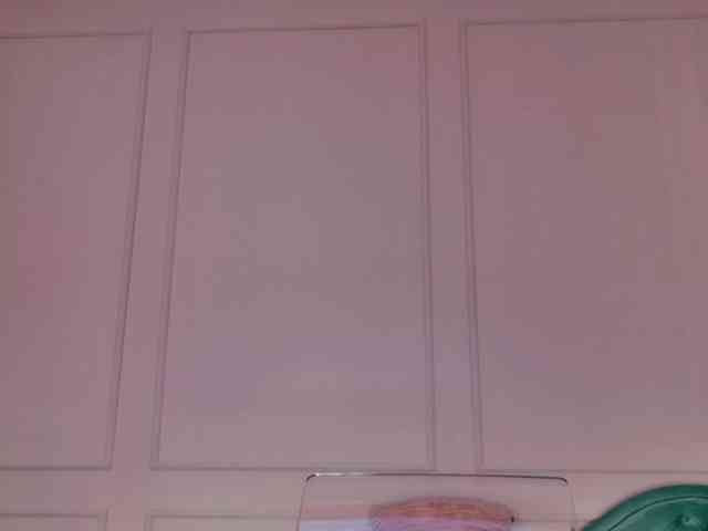 Evaathorn webcam